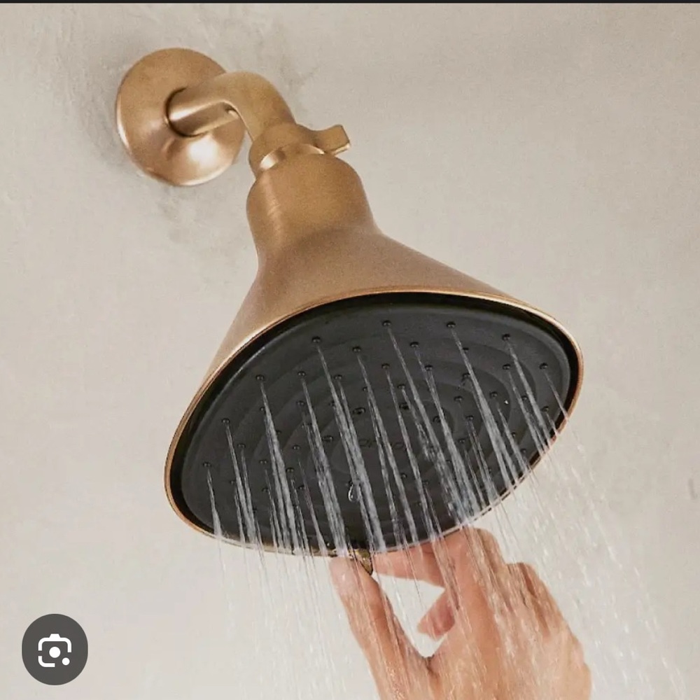 Canopy filtered shower head